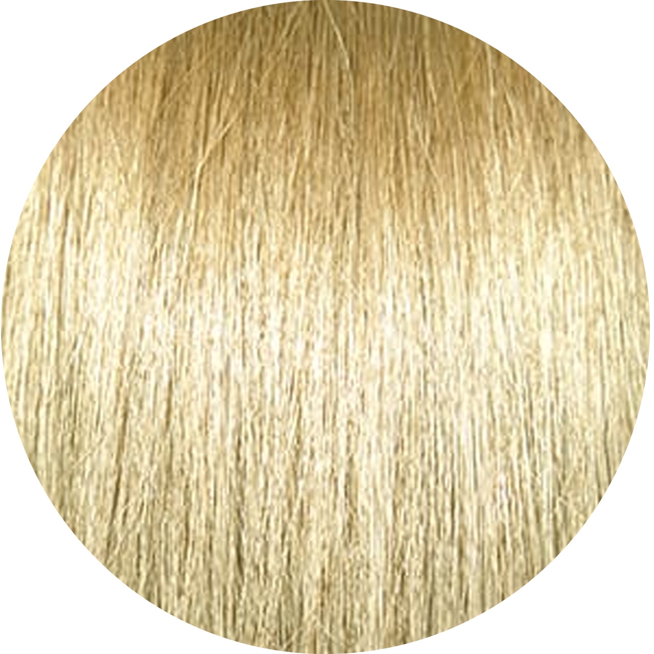 【blonded】 ChromaSilk 10.03/10g- Extra Light Sheer Golden Blonde