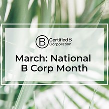 Marching Towards Change: Celebrating National B Corp Month