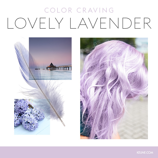 Keune Color Craving Lovely Lavender