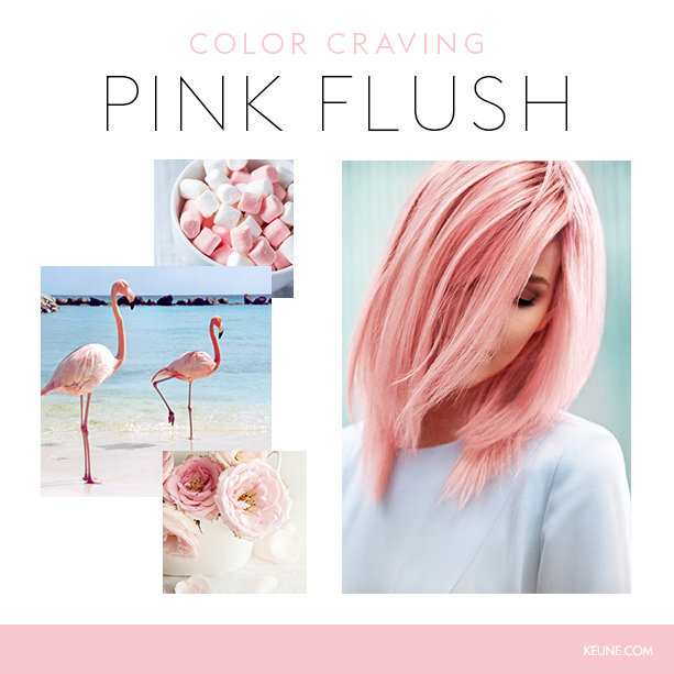 Keune Color Craving Pink Flush