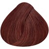 Alfaparf Milano Shine Effect 6.64- Dark Blonde Red Copper 2.06 Fl. Oz.
