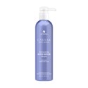 ALTERNA Professional Masque 16.5 Fl. Oz.