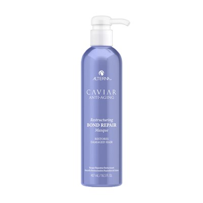 ALTERNA Professional Masque 16.5 Fl. Oz.