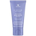 ALTERNA Professional Shampoo 1.35 Fl. Oz.