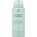ALTERNA Professional CITY SLAY SHIELDING HAIRSPRAY 2 Fl. Oz.