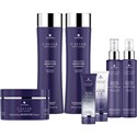 ALTERNA Professional Caviar Moisture Intro 38 pc.