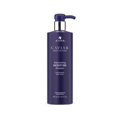 ALTERNA Professional Shampoo 16.5 Fl. Oz.