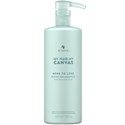 ALTERNA Professional MORE TO LOVE BODIFYING SHAMPOO Liter