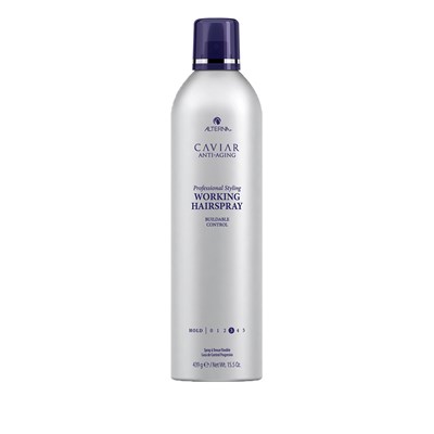 ALTERNA Professional WORKING HAIRSPRAY 15.5 Fl. Oz.