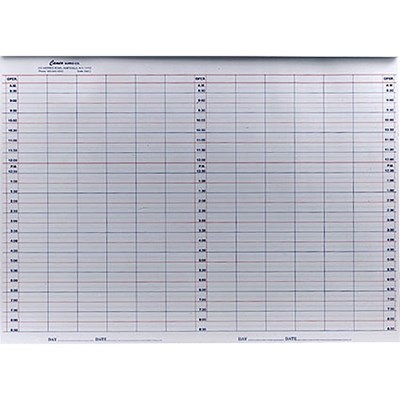 Cameo Appointment Pad - 4 Month by 10 Columns 13 inch x 17 inch