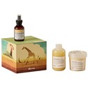 Davines NOUNOU/ + NaturalTech Holiday Set 3 pc.