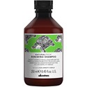 Davines Shampoo 8.45 Fl. Oz.