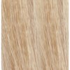 eufora 10.03/10NW- Lightest Natural Warm Blonde LOW AMMONIA 3.4 Fl. Oz.