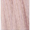 eufora 10.12/10AV- High Lift Ash Violet Blonde LOW AMMONIA 3.4 Fl. Oz.