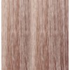 eufora 10.1/10A- High Lift Ash Blonde LOW AMMONIA 3.4 Fl. Oz.