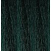 eufora Creative Pigment- Green LOW AMMONIA 3.4 Fl. Oz.
