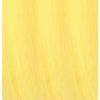 eufora Creative Pigment- Yellow LOW AMMONIA 3.4 Fl. Oz.