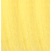 eufora Creative Pigment- Yellow LOW AMMONIA 3.4 Fl. Oz.