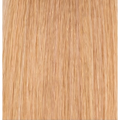 eufora 8.73/8AG- Light Cappuccino Blonde NO AMMONIA 3.4 Fl. Oz.