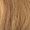 Framesi 10C Pale Iridescent Ash Blonde 2 Fl. Oz.