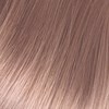 Framesi 10HC/10.64 – Platinum Chocolate Blonde 2 Fl. Oz.