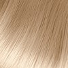 Framesi 10PG/10.31 – Platinum Ash Golden Blonde 2 Fl. Oz.