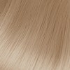 Framesi 10SB/10.36 – Platinum Sandy Blonde 2 Fl. Oz.