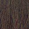 Framesi 6 CB Dark Blonde 2 Fl. Oz.