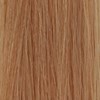Framesi 8.36- Sandy Light Blonde 2 Fl. Oz.