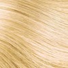 Hotheads 613- Lightest Blonde 14 inch