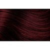 Hotheads 34- Deep Red Violet 10-12 inch