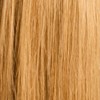 Hotheads Garnet (6C- Medium, warm blonde) 22 inch