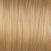 Joico 9NG/9.03 - Natural Golden Light Blonde 2.5 Fl. Oz.