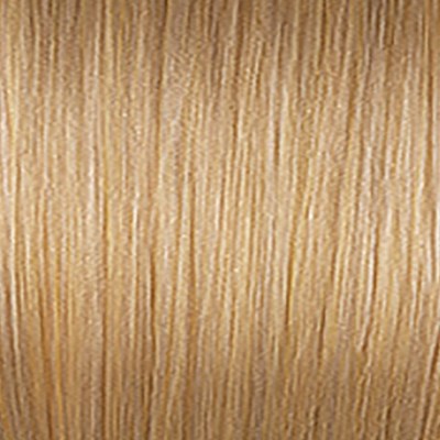 Joico 9NG/9.03 - Natural Golden Light Blonde 2.5 Fl. Oz.