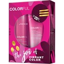 Joico Colorful Holiday Duo 2 pc.