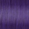 Joico INV- Violet Intensifier 2.5 Fl. Oz.