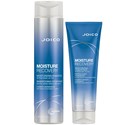 Joico Moisture Recovery Summer Duo 2 pc.
