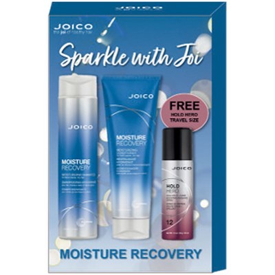 Joico Moisture Recovery Holiday Trio 3 pc.
