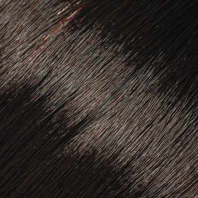 L'ANZA 4CG- Dark Copper Gold Brown 3 Fl. Oz.