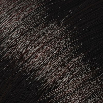 L'ANZA 4R- Dark Red Brown 3 Fl. Oz.