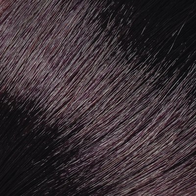 L'ANZA 4V- Dark Violet Brown 3 Fl. Oz.