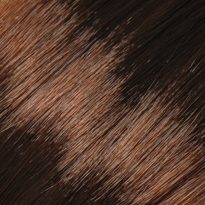L'ANZA 6BC- Light Beige Copper Brown 3 Fl. Oz.