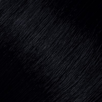 L'ANZA 2NA- Darkest Natural Ash Brown 3 Fl. Oz.