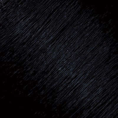 L'ANZA 3NA- Dark Natural Ash Brown 3 Fl. Oz.