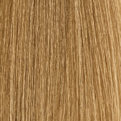 MOROCCANOIL 7.3/7G- Medium Golden Blonde 2 Fl. Oz.