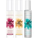 MOROCCANOIL BRUMES DU MOROC SALON INTRO 16 pc.