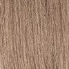 MOROCCANOIL Gloss 7.32/7GV- Medium Gold Iridescent Blonde 2 Fl. Oz.