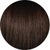 PRAVANA 5.31- Light Golden Ash Brown 3 Fl. Oz.