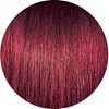 PRAVANA 5.66/5RR- Light Intense Red Brown 3 Fl. Oz.