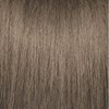 PRAVANA 6BV- Dark Beige Blonde 3 Fl. Oz.